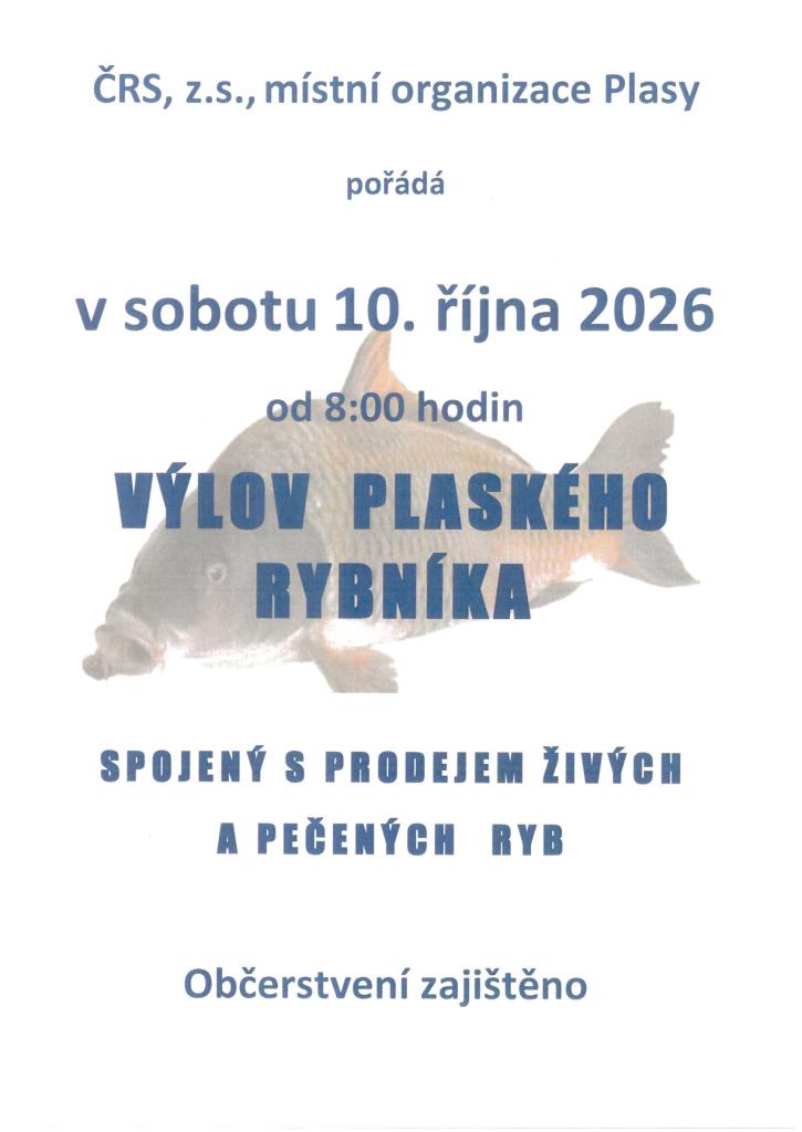 Prodej ryb