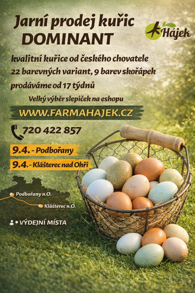 Jarní prodej kuřic